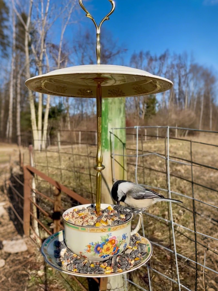 🔥🔥New Year 70% Off--🐦Bird Tea Party: Handmade Ceramic Teacup Birdfeeder
