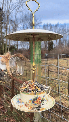 🔥🔥New Year 70% Off--🐦Bird Tea Party: Handmade Ceramic Teacup Birdfeeder