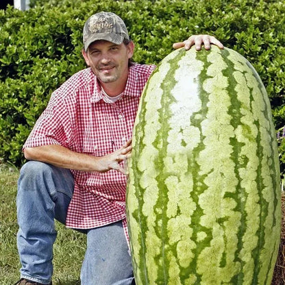 🔥🔥New Year 70% Off--🍉Lazy Man's Watermelon Seeds