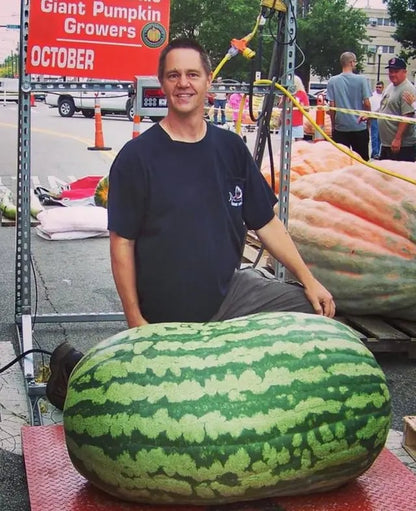 🔥🔥New Year 70% Off--🍉Lazy Man's Watermelon Seeds