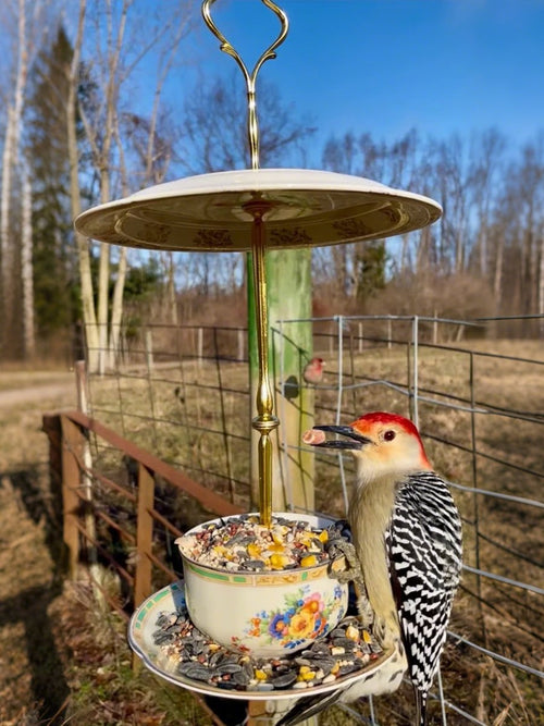 🔥🔥New Year 70% Off--🐦Bird Tea Party: Handmade Ceramic Teacup Birdfeeder