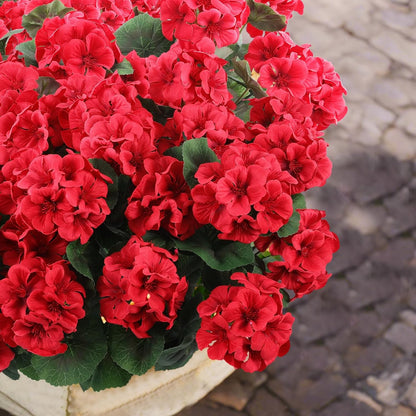 ☀️ UV-Resistant🌺Corrosion-Resistant Artificial Geranium Flowers 🌺